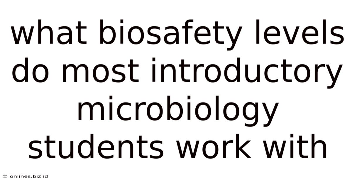 What Biosafety Levels Do Most Introductory Microbiology Students Work With