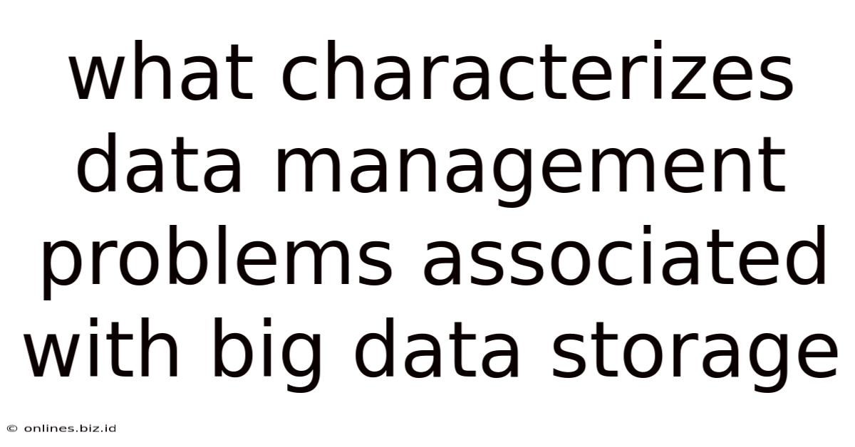 What Characterizes Data Management Problems Associated With Big Data Storage