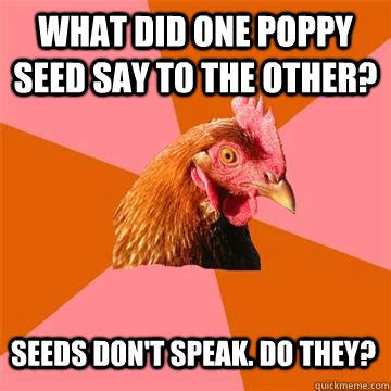 What Did One Poppy Seed Say To The Other