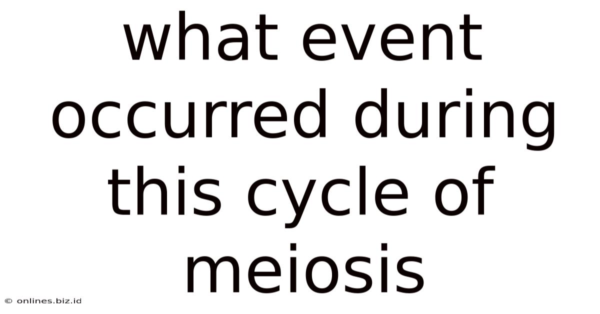 What Event Occurred During This Cycle Of Meiosis
