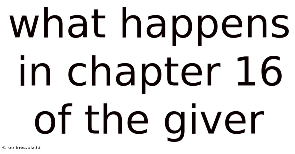 What Happens In Chapter 16 Of The Giver