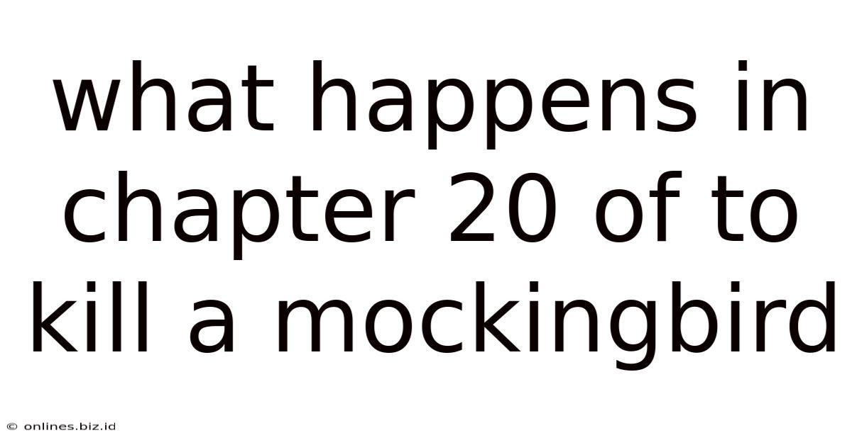 What Happens In Chapter 20 Of To Kill A Mockingbird