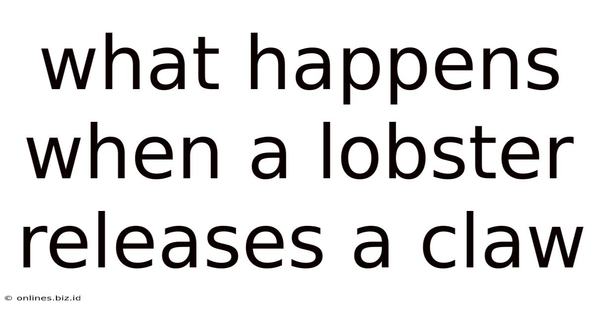What Happens When A Lobster Releases A Claw