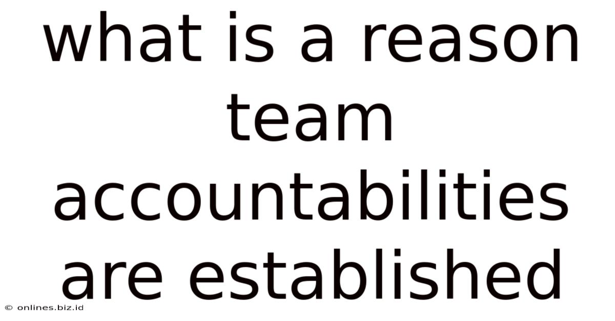 What Is A Reason Team Accountabilities Are Established