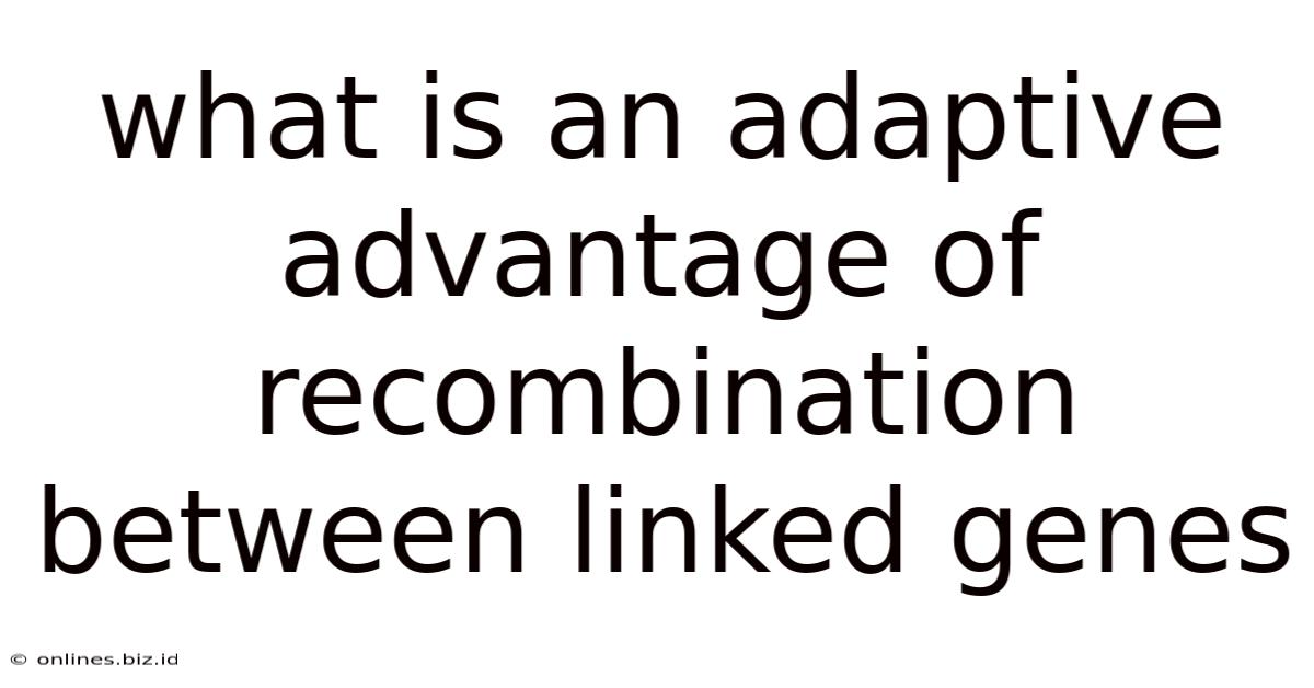 What Is An Adaptive Advantage Of Recombination Between Linked Genes