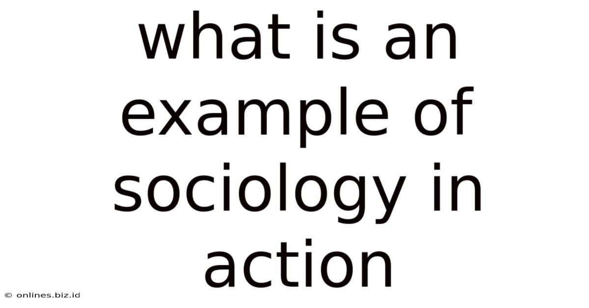 What Is An Example Of Sociology In Action