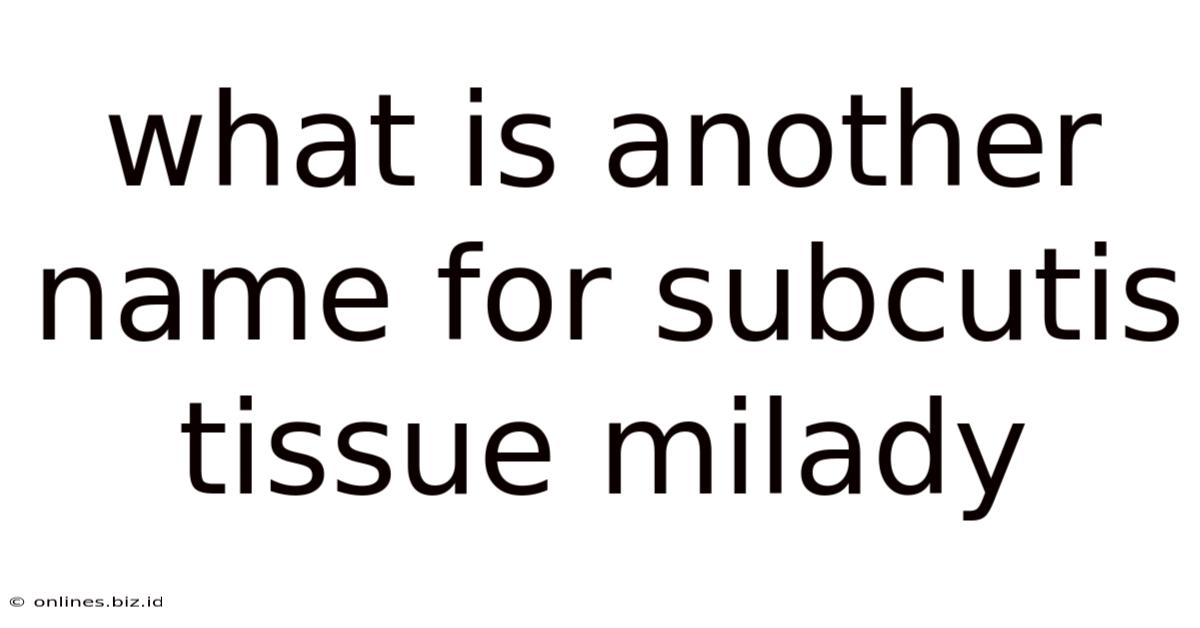 What Is Another Name For Subcutis Tissue Milady