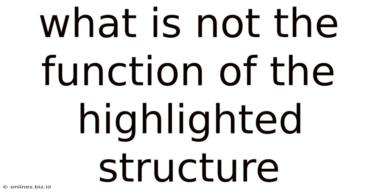 What Is Not The Function Of The Highlighted Structure