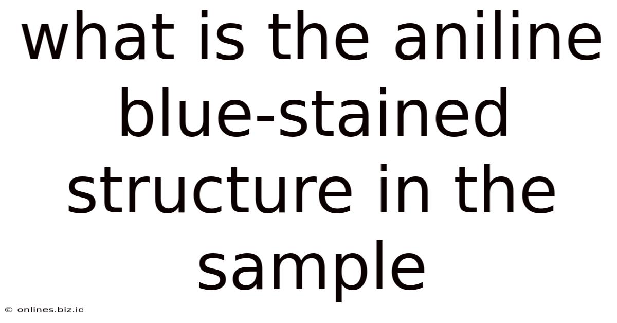 What Is The Aniline Blue-stained Structure In The Sample