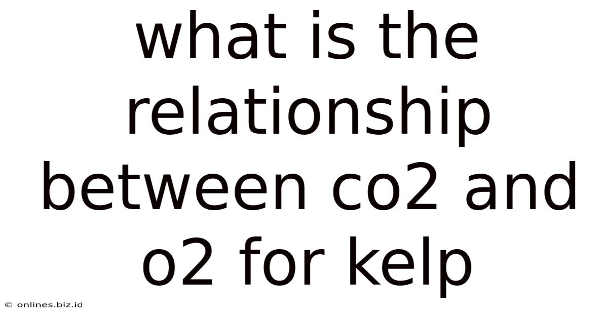 What Is The Relationship Between Co2 And O2 For Kelp