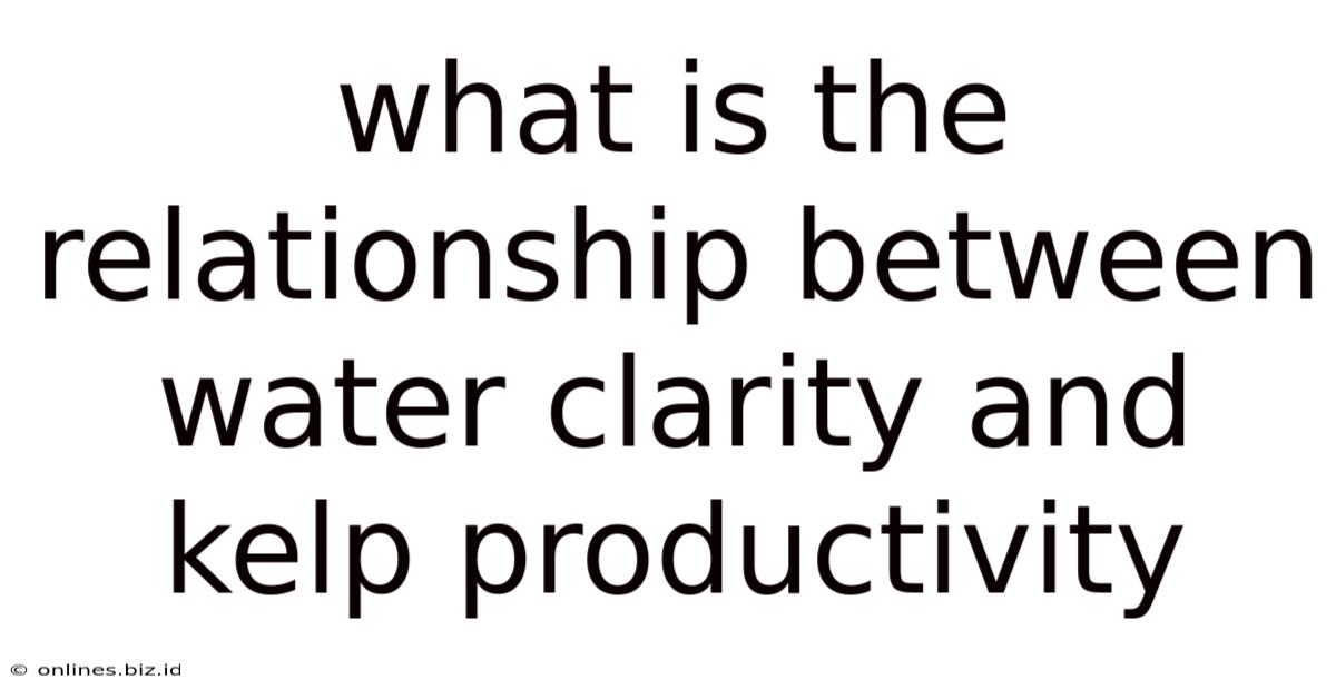 What Is The Relationship Between Water Clarity And Kelp Productivity