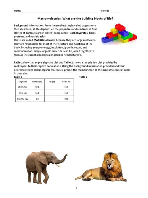 What Macromolecules Provide Energy For Lions And Elephants