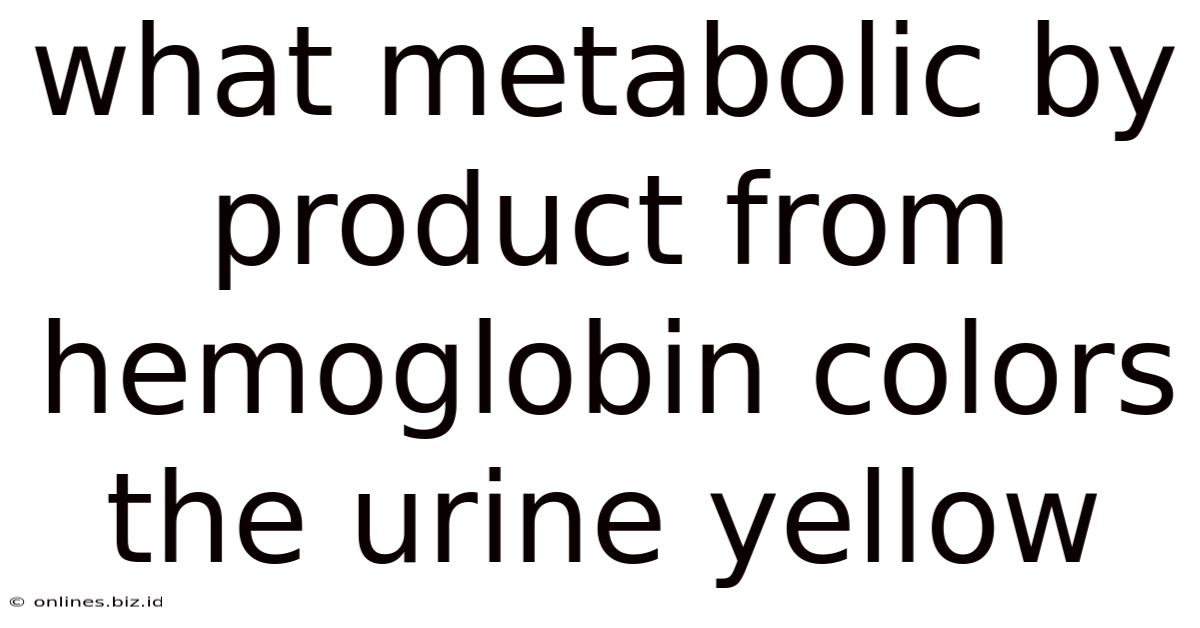 What Metabolic By Product From Hemoglobin Colors The Urine Yellow