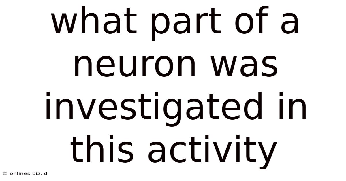 What Part Of A Neuron Was Investigated In This Activity