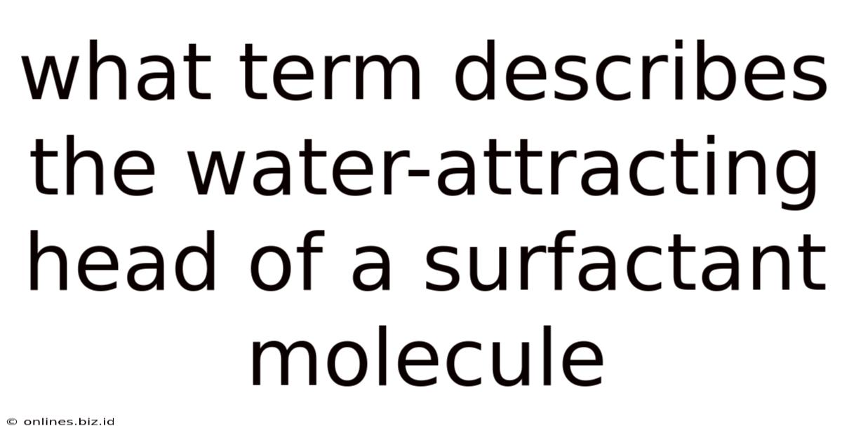 What Term Describes The Water-attracting Head Of A Surfactant Molecule