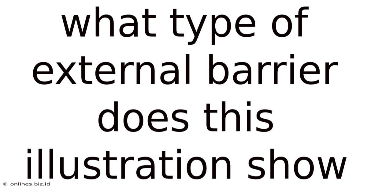 What Type Of External Barrier Does This Illustration Show