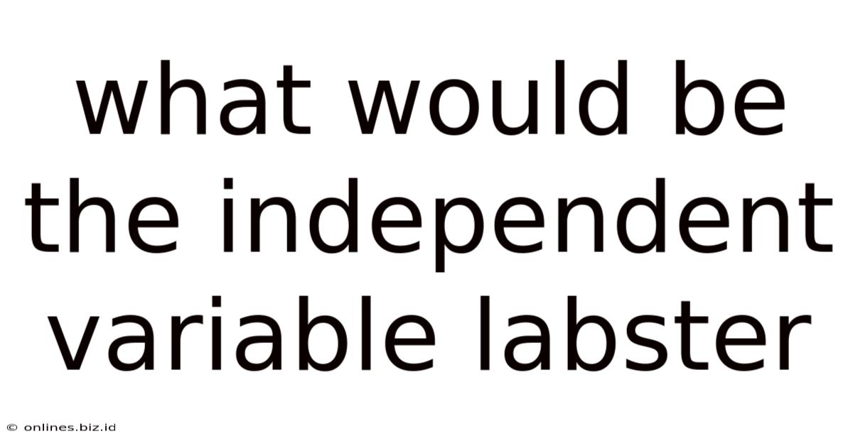 What Would Be The Independent Variable Labster