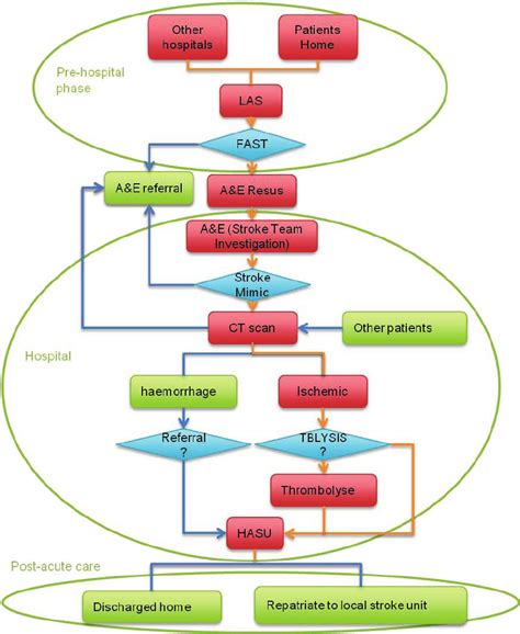 Which Action Is Not Part Of The Acute Stroke Pathway