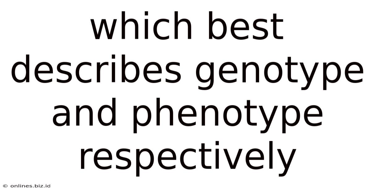 Which Best Describes Genotype And Phenotype Respectively