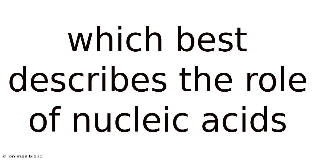Which Best Describes The Role Of Nucleic Acids