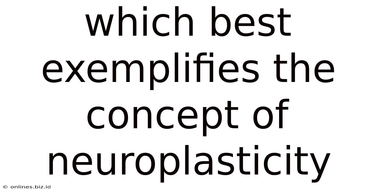 Which Best Exemplifies The Concept Of Neuroplasticity
