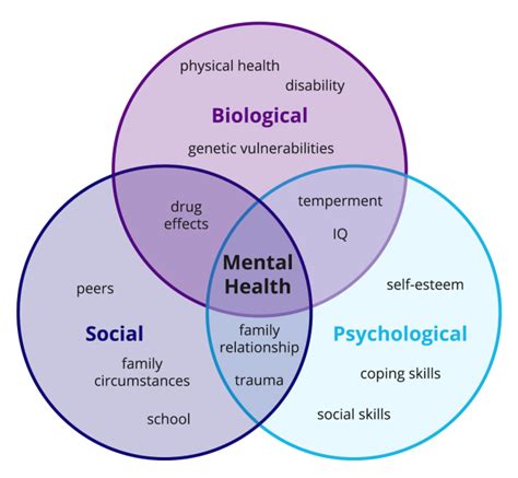 Which Biopsychosocial Need Is The Priority In The Acute Phase