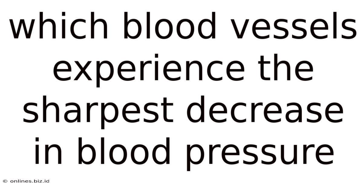 Which Blood Vessels Experience The Sharpest Decrease In Blood Pressure