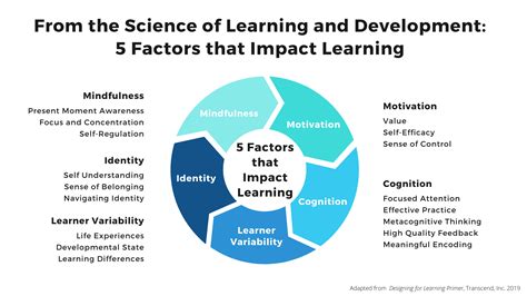 Which Cognitive Attribute Will Positively Impact Your Student Experience