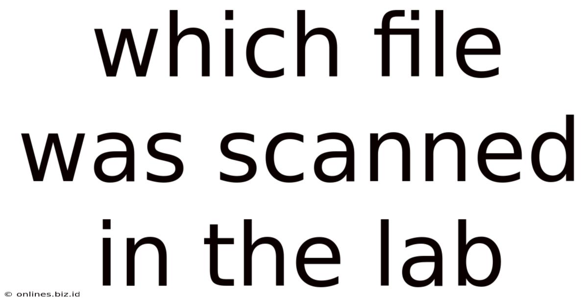 Which File Was Scanned In The Lab