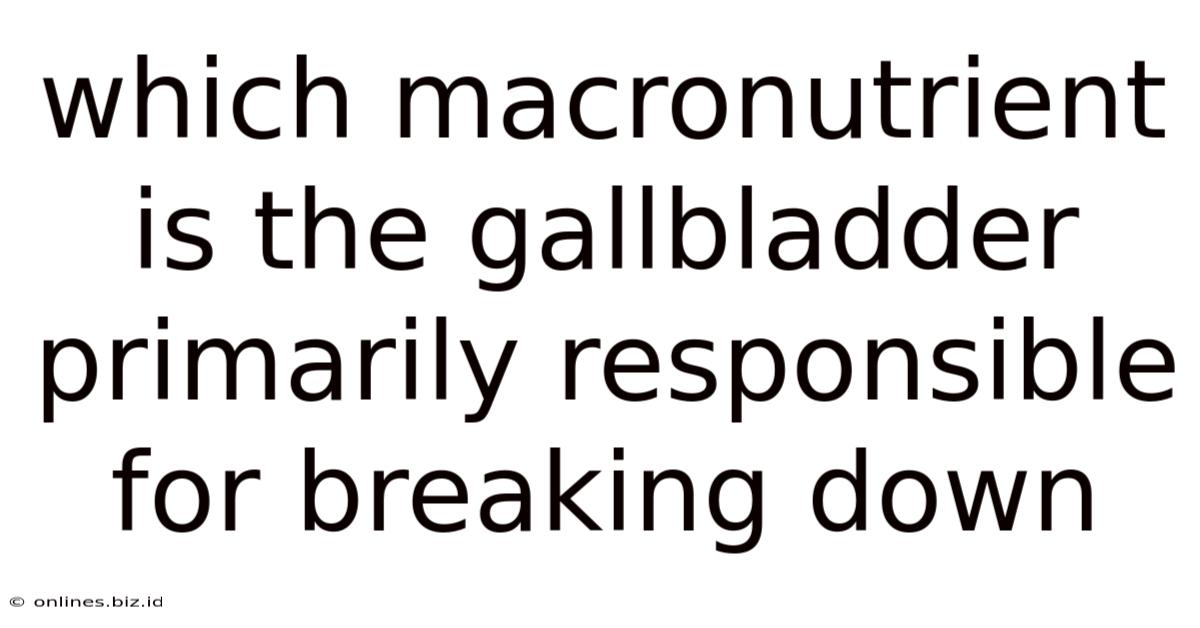 Which Macronutrient Is The Gallbladder Primarily Responsible For Breaking Down