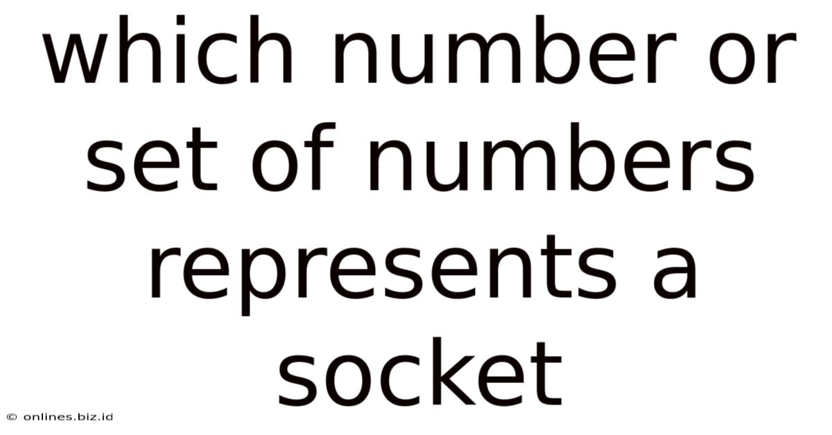 Which Number Or Set Of Numbers Represents A Socket