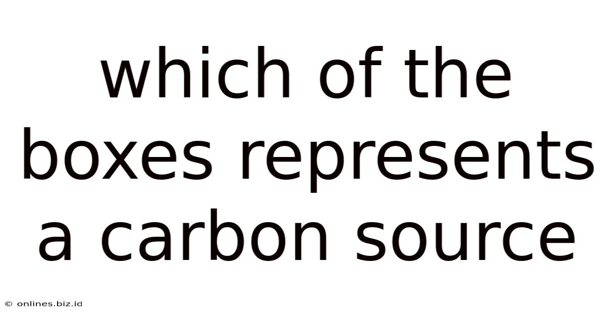 Which Of The Boxes Represents A Carbon Source