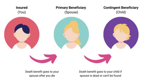 Which Of The Following Best Describes A Contingent Beneficiary