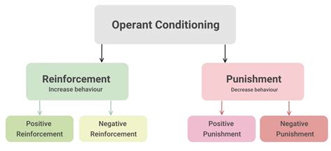 Which Of The Following Is An Example Of Operant Conditioning