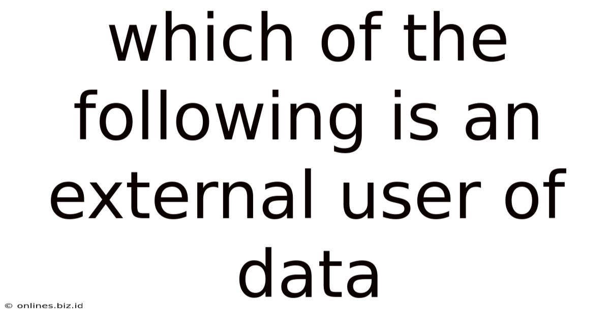 Which Of The Following Is An External User Of Data