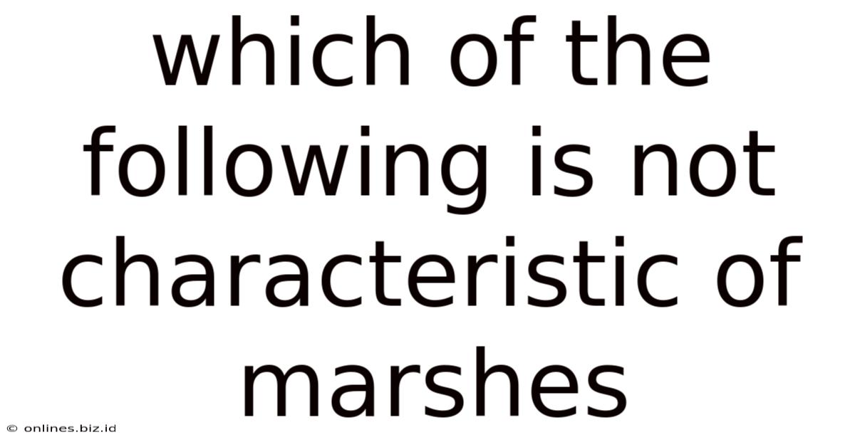 Which Of The Following Is Not Characteristic Of Marshes