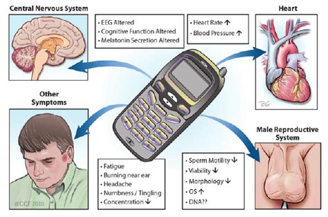 Which Of The Following Is Not True About Mobile Health