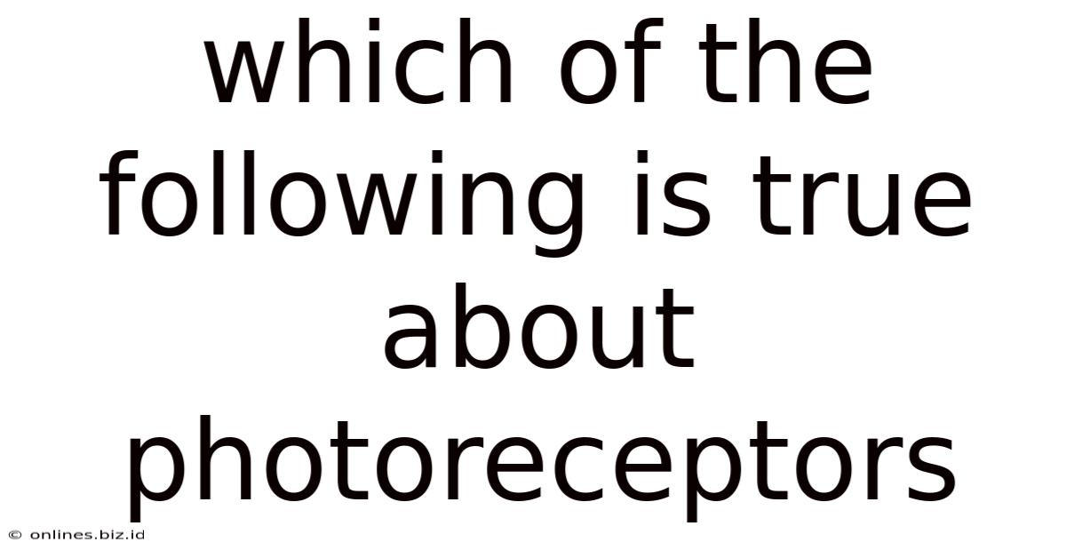 Which Of The Following Is True About Photoreceptors