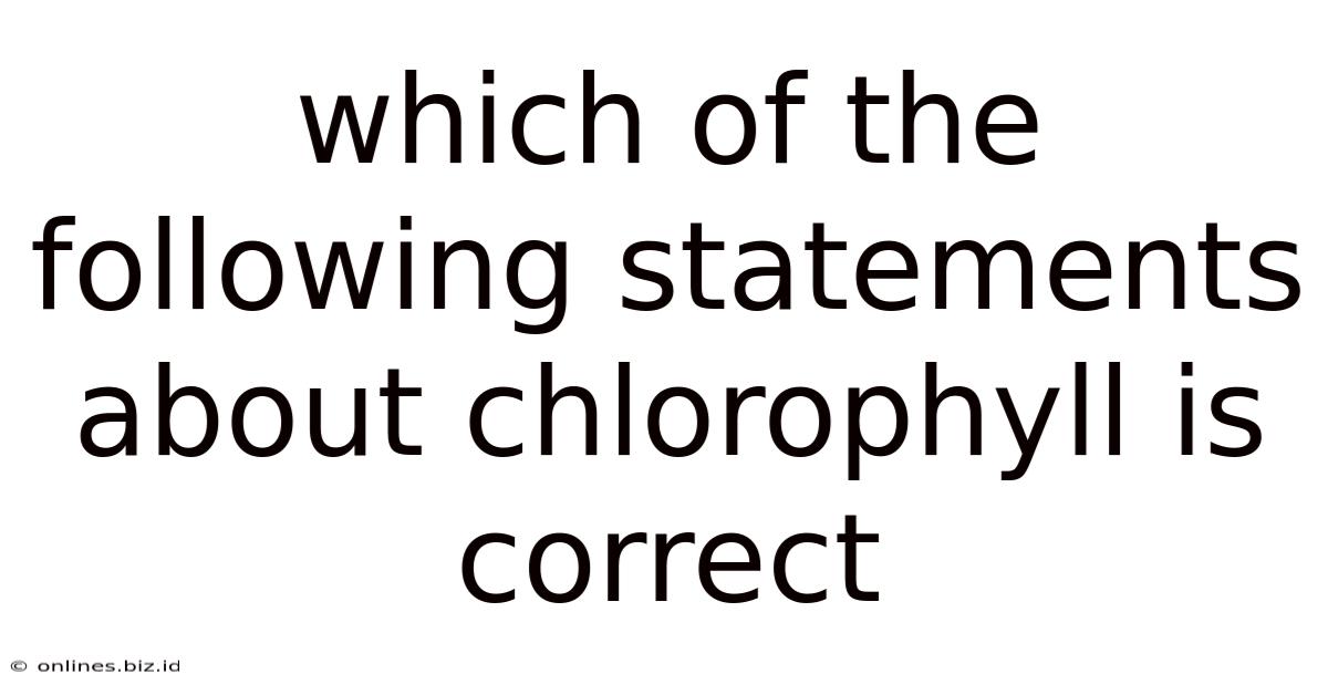 Which Of The Following Statements About Chlorophyll Is Correct