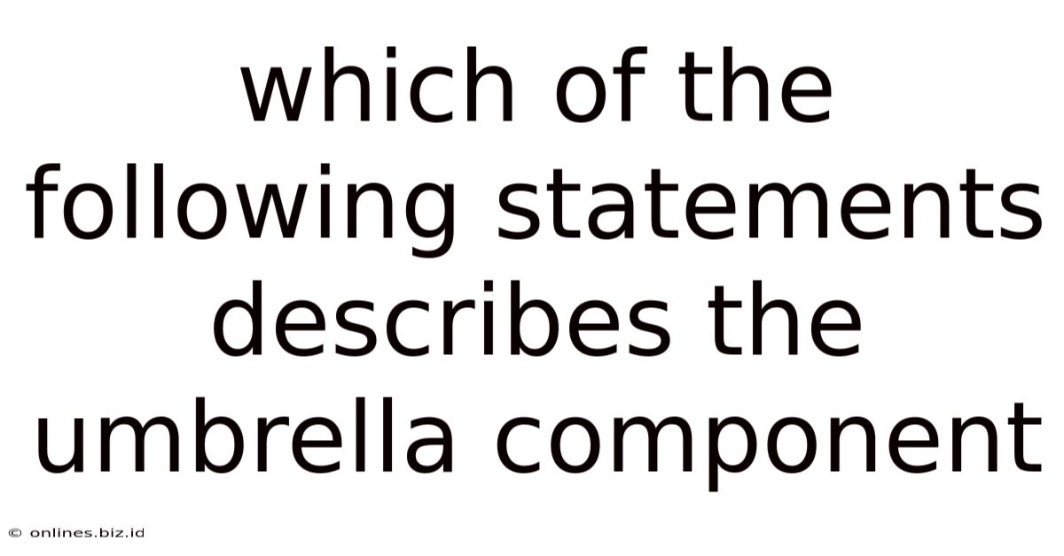 Which Of The Following Statements Describes The Umbrella Component