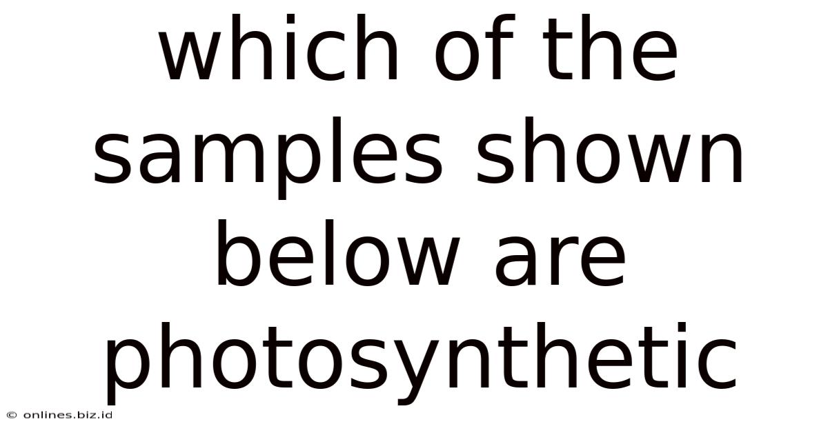 Which Of The Samples Shown Below Are Photosynthetic