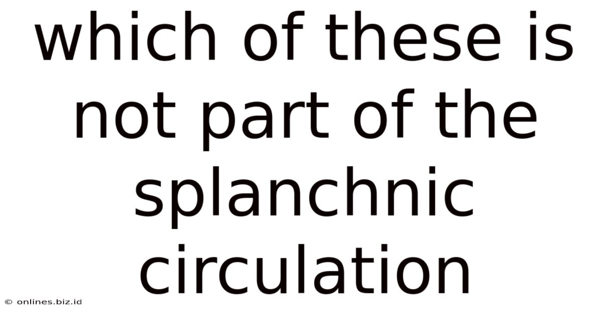 Which Of These Is Not Part Of The Splanchnic Circulation