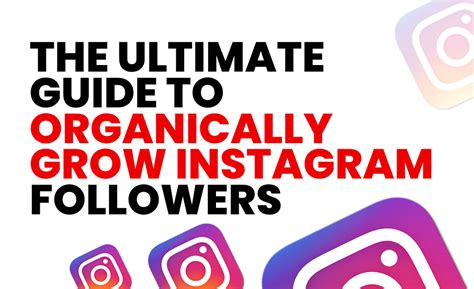 Which Of These Would Organically Grow A Clients Instagram Followers