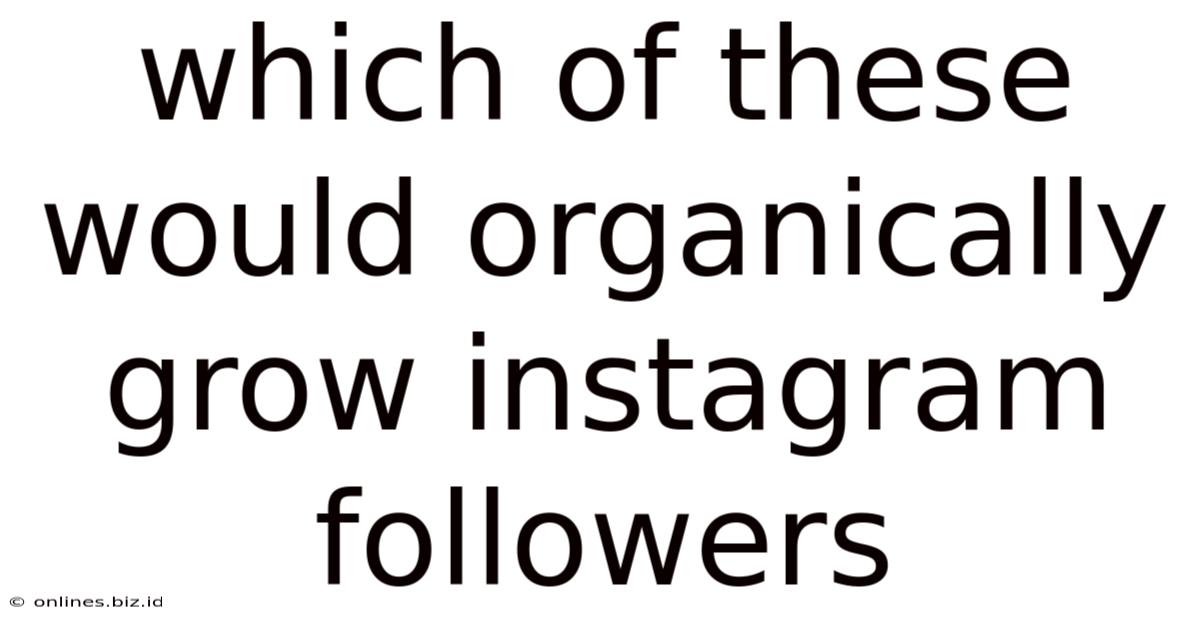 Which Of These Would Organically Grow Instagram Followers