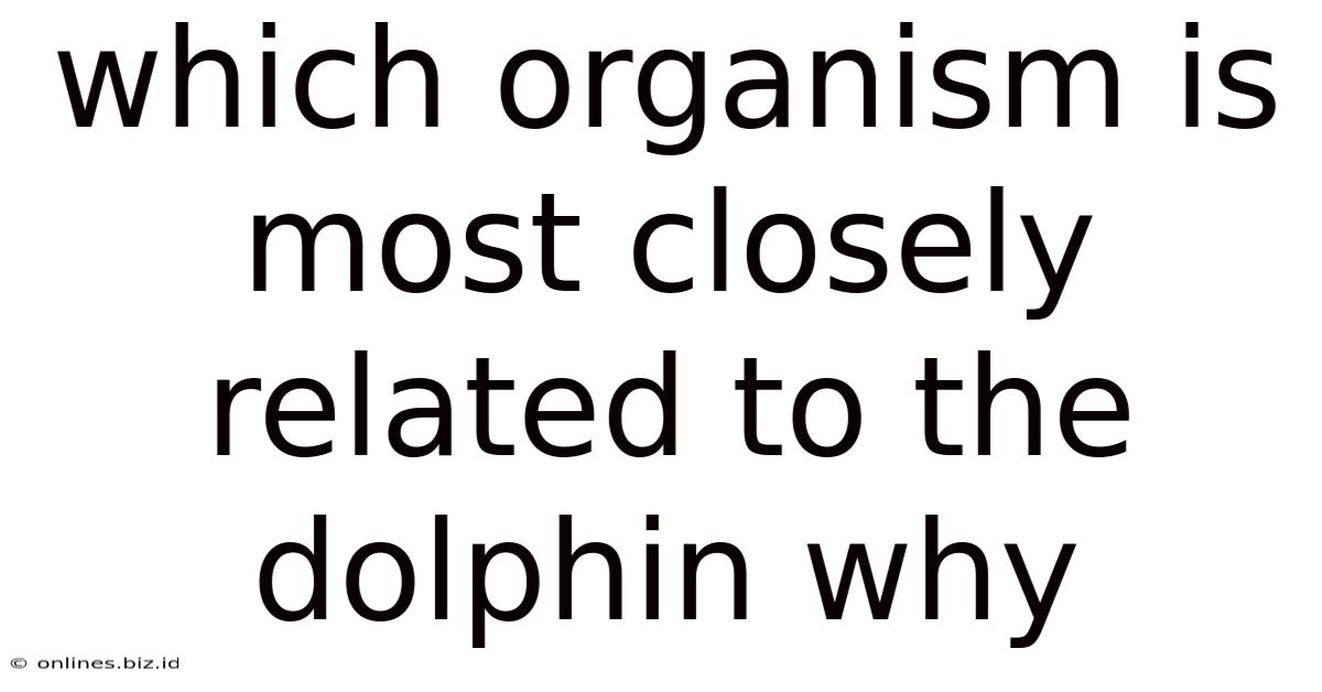 Which Organism Is Most Closely Related To The Dolphin Why