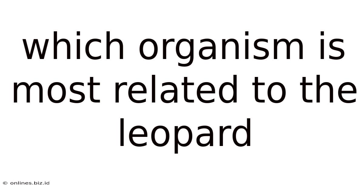 Which Organism Is Most Related To The Leopard