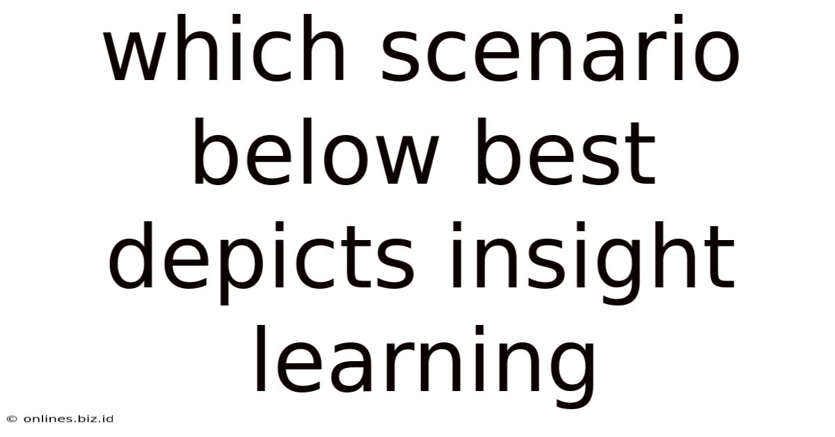 Which Scenario Below Best Depicts Insight Learning