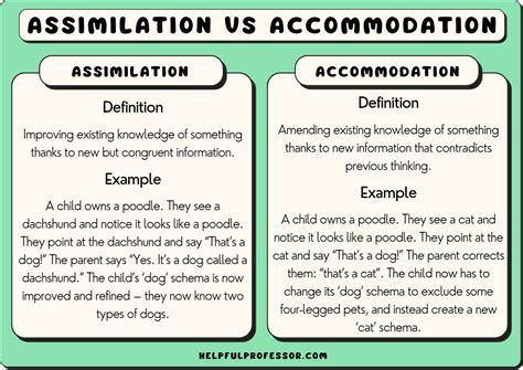 Which Scenario Best Explains The Process Of Assimilation