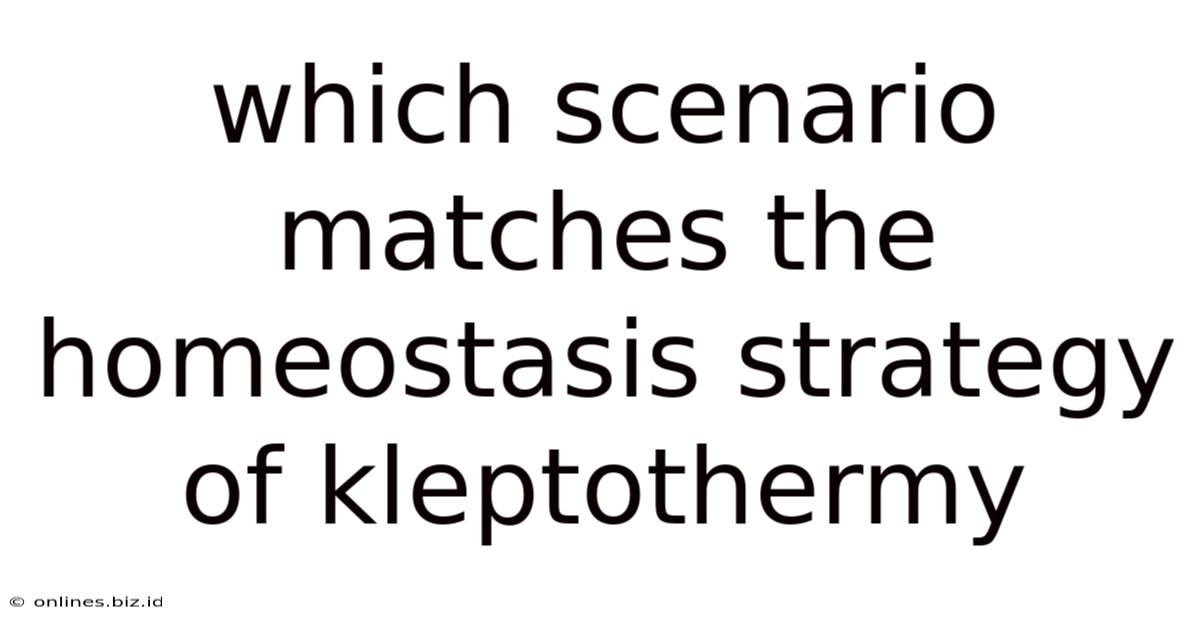 Which Scenario Matches The Homeostasis Strategy Of Kleptothermy