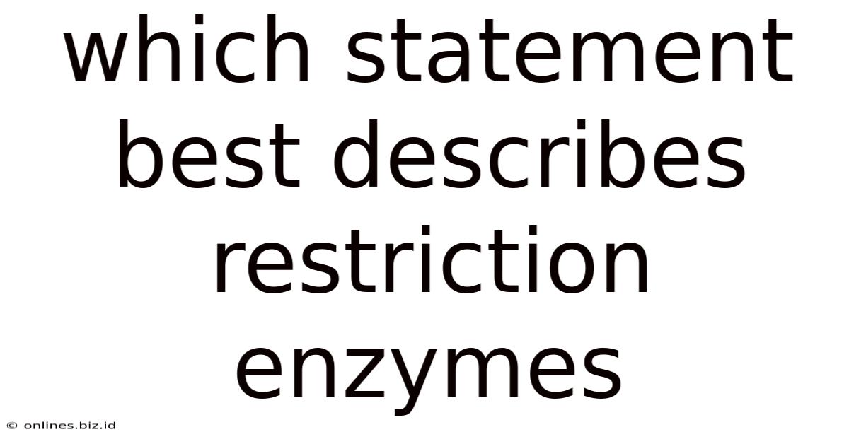 Which Statement Best Describes Restriction Enzymes